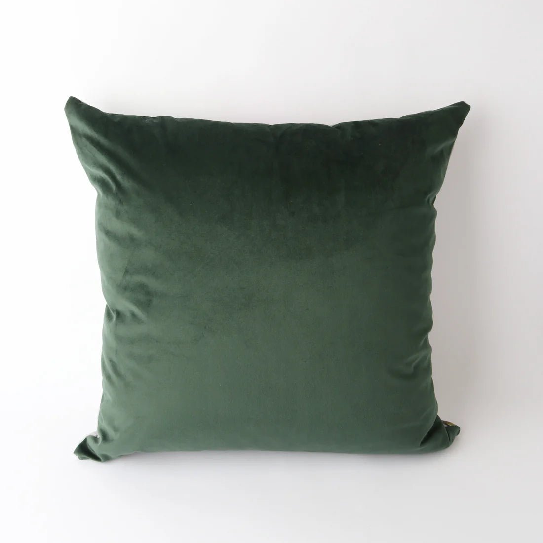 Art Cushion Velvet LV - Chillis & More NZ