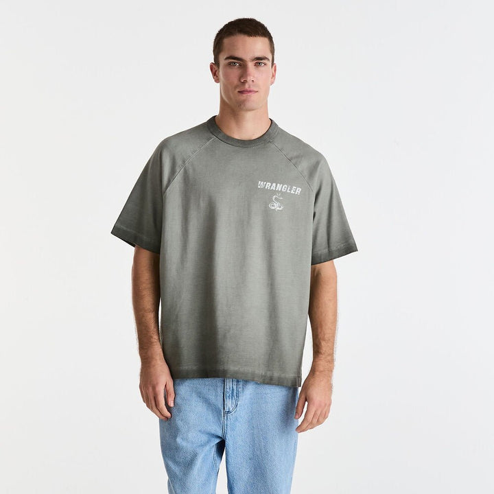 Tour Box Raglan Tee - Burnout Grey - Chillis & More NZ