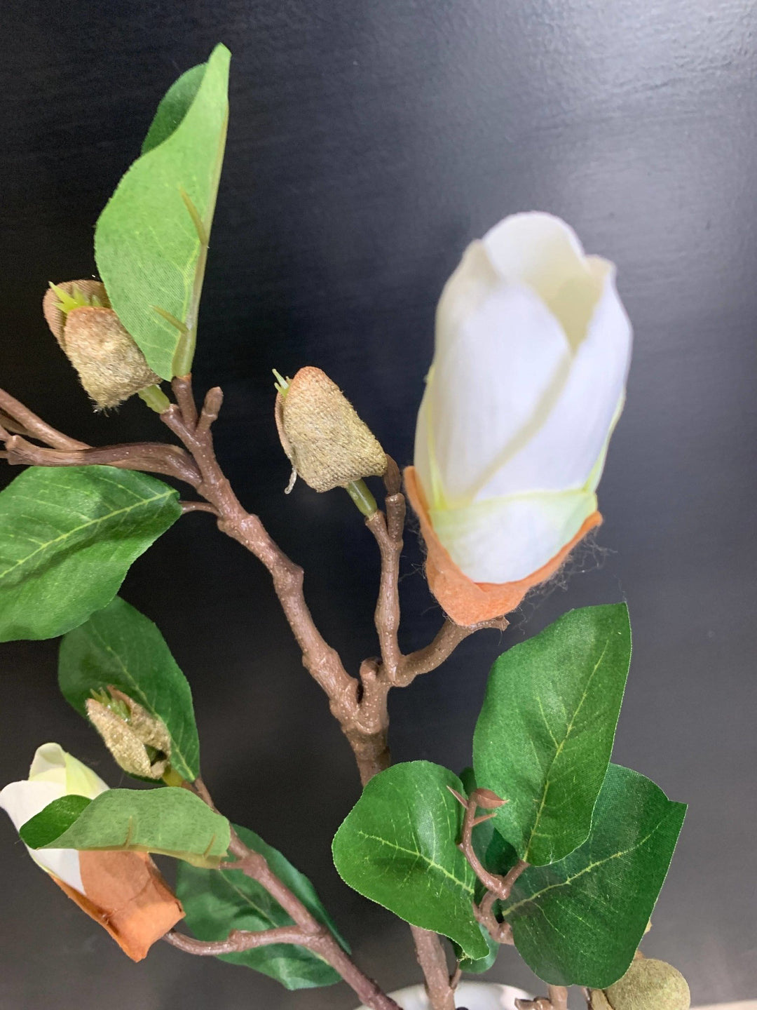 Cream Magnolia Flower Buds 820 - Chillis & More NZ