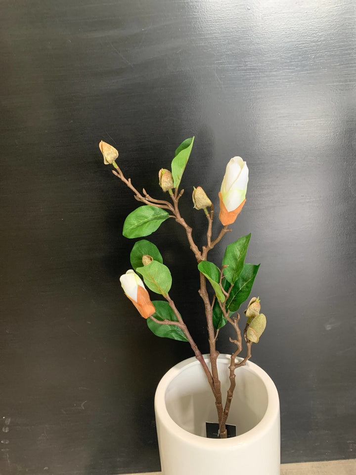 Cream Magnolia Flower Buds 820 - Chillis & More NZ