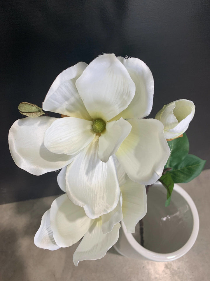 Cream Magnolia flower Large 820 - Chillis & More NZ